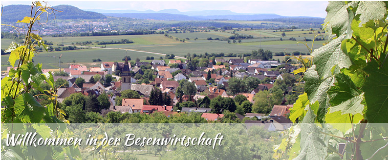 Sicht auf das schöne Wendelsheim - aufgenommen direkt vom Wengert (Weinberg) der Familie Biesinger